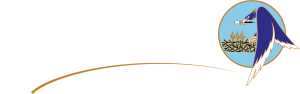 MOODLE ECOLE DE L'AIR ET DE L'ESPACE 2024-2025